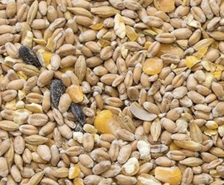 Cereales y grano
